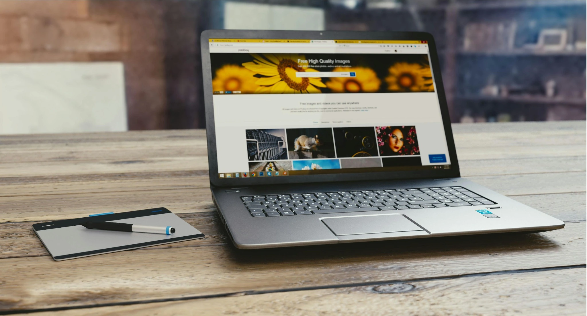 Web sitesi kurulum süreci ve geliştirme