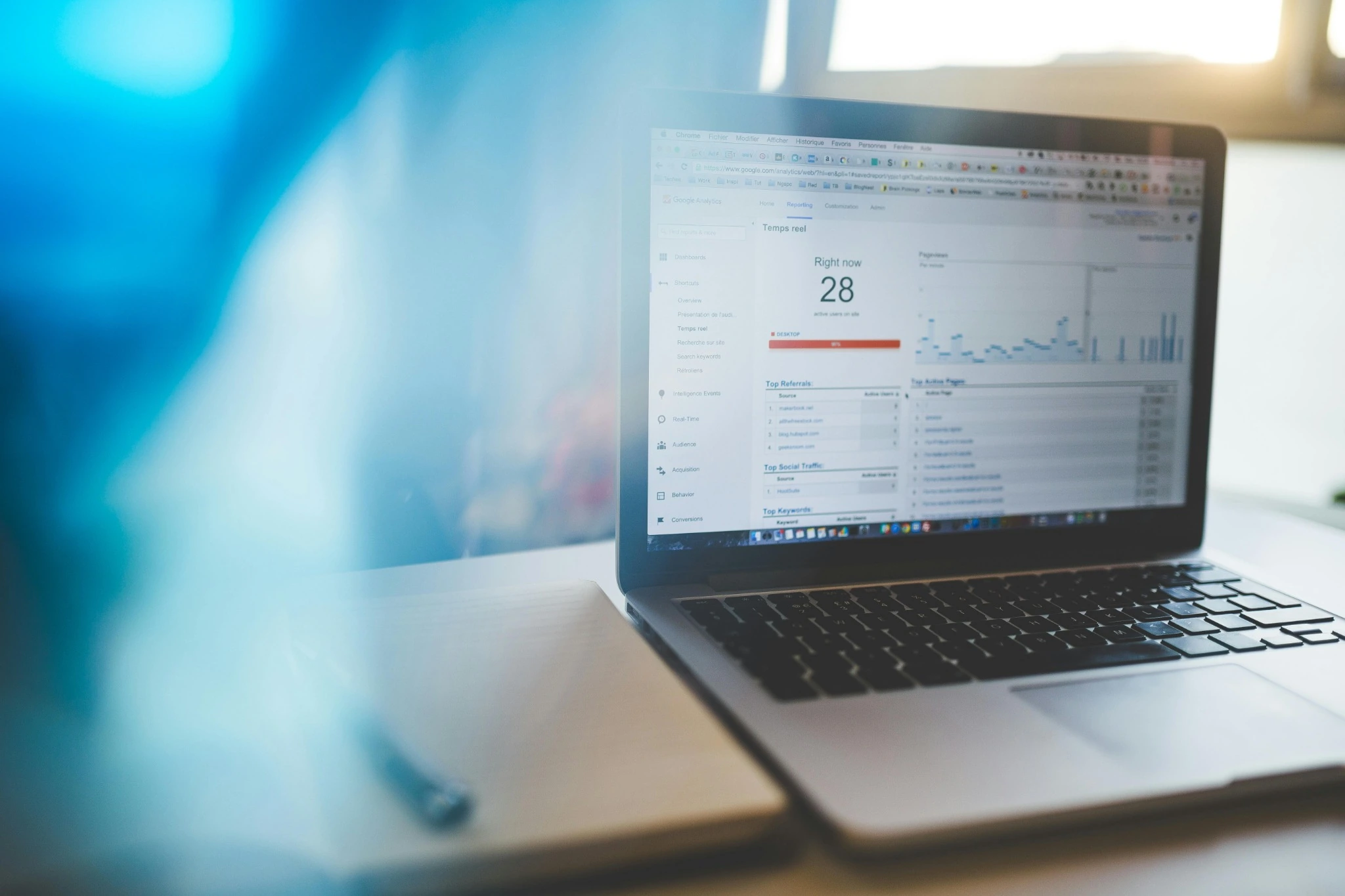 SEO analiz ve web performans ekranı
