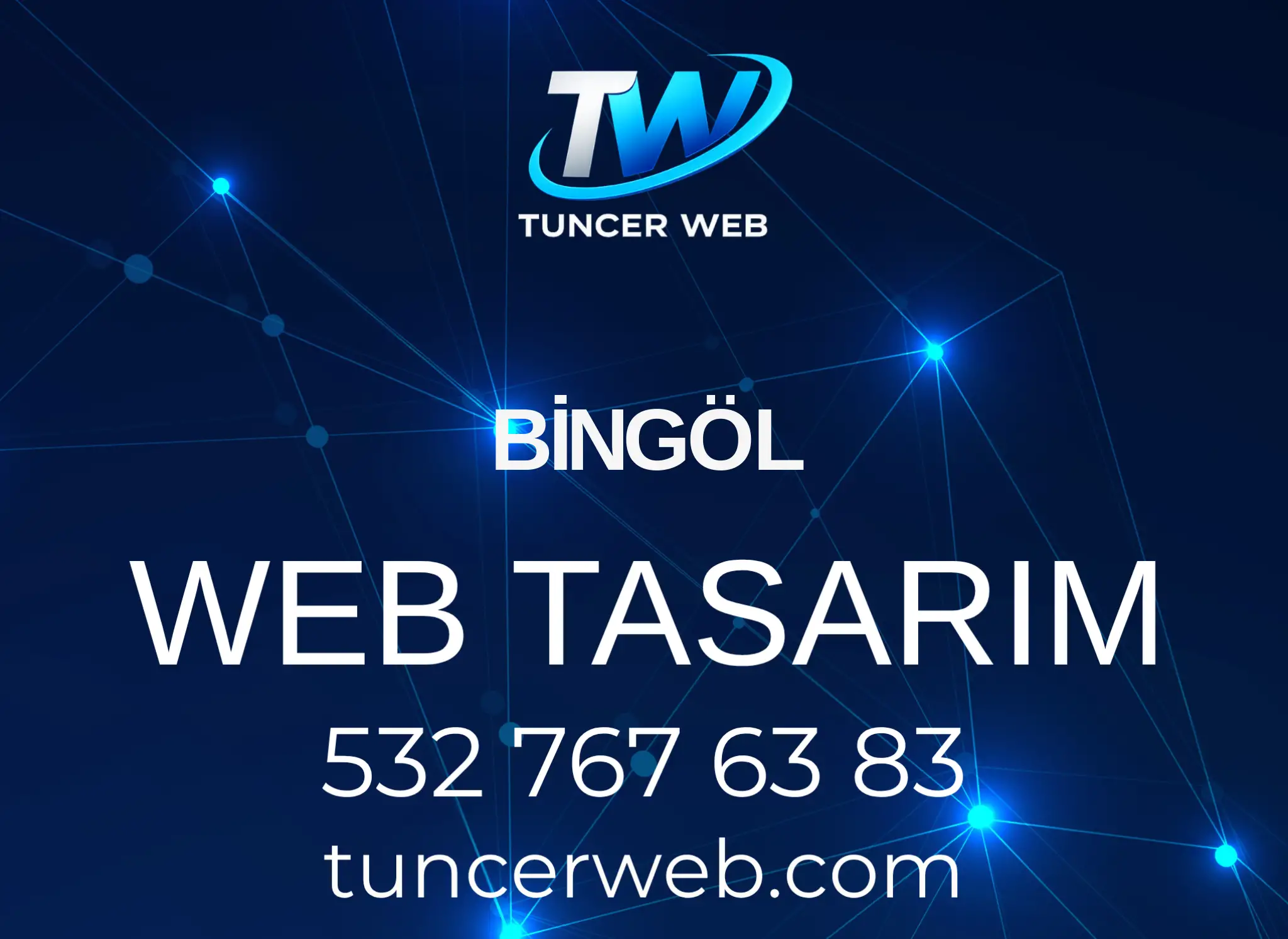 Bingöl Web Tasarım görseli