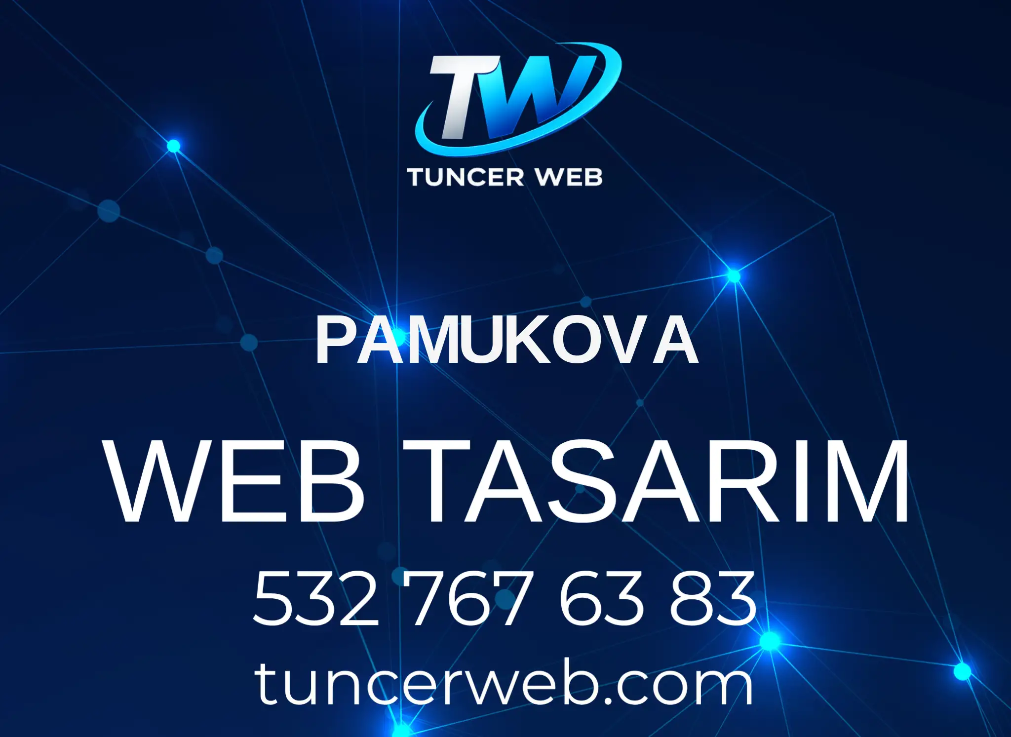 Sakarya Pamukova Web Tasarım görseli